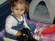 Celina (1 år) på besøg i hvalpekassen - ih, hvor alle hyggede sig...Foto: 21. oktober